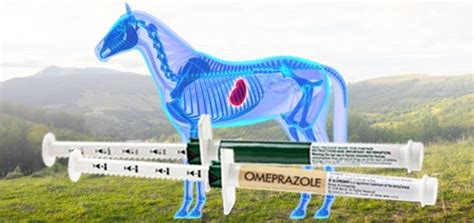 Omeprazole for Horses with Ulcers: The Good & Bad .